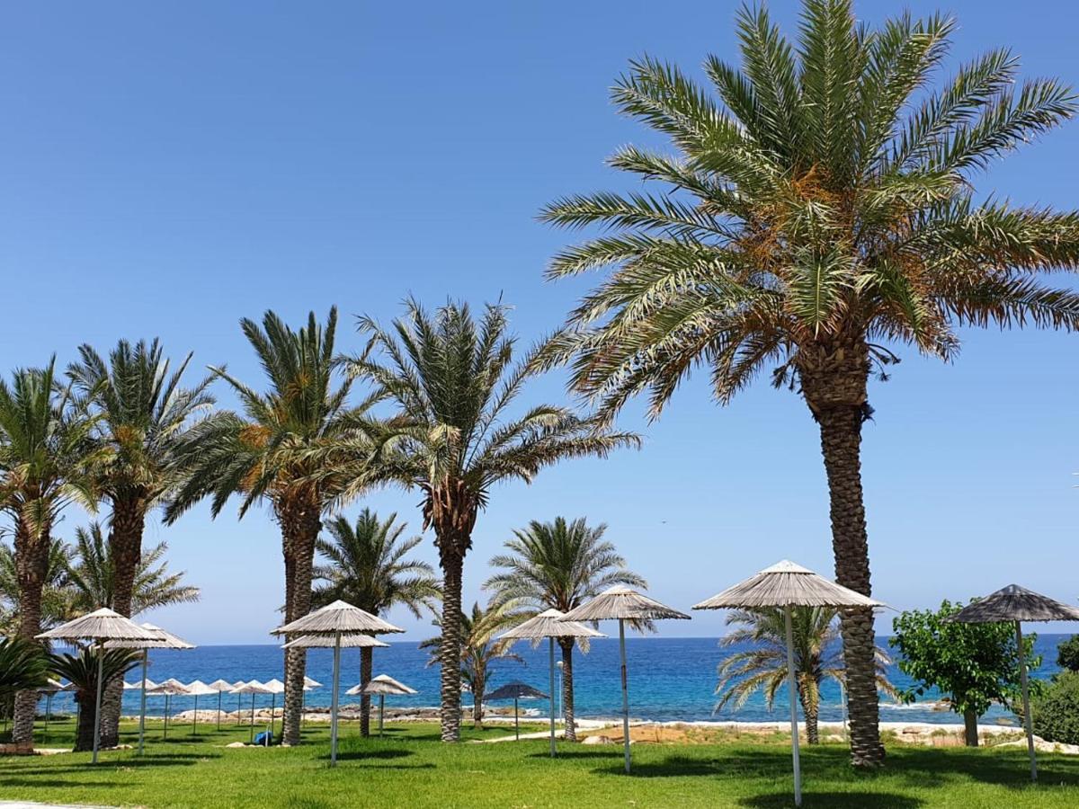 Seaview Sunset Holiday Apartments Paphos Kültér fotó