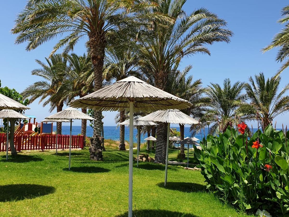 Seaview Sunset Holiday Apartments Paphos Kültér fotó